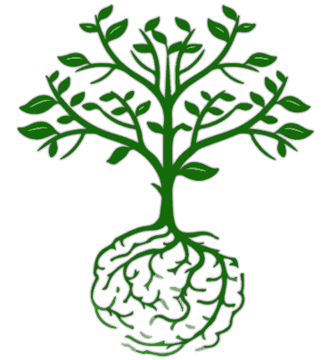cervello-pianta
